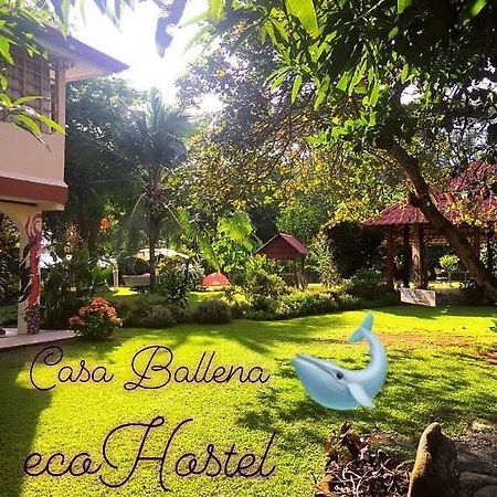 أوفيتا Casa Ballena Eco Hostel المظهر الخارجي الصورة