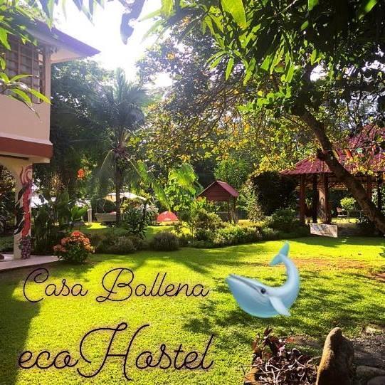أوفيتا Casa Ballena Eco Hostel المظهر الخارجي الصورة