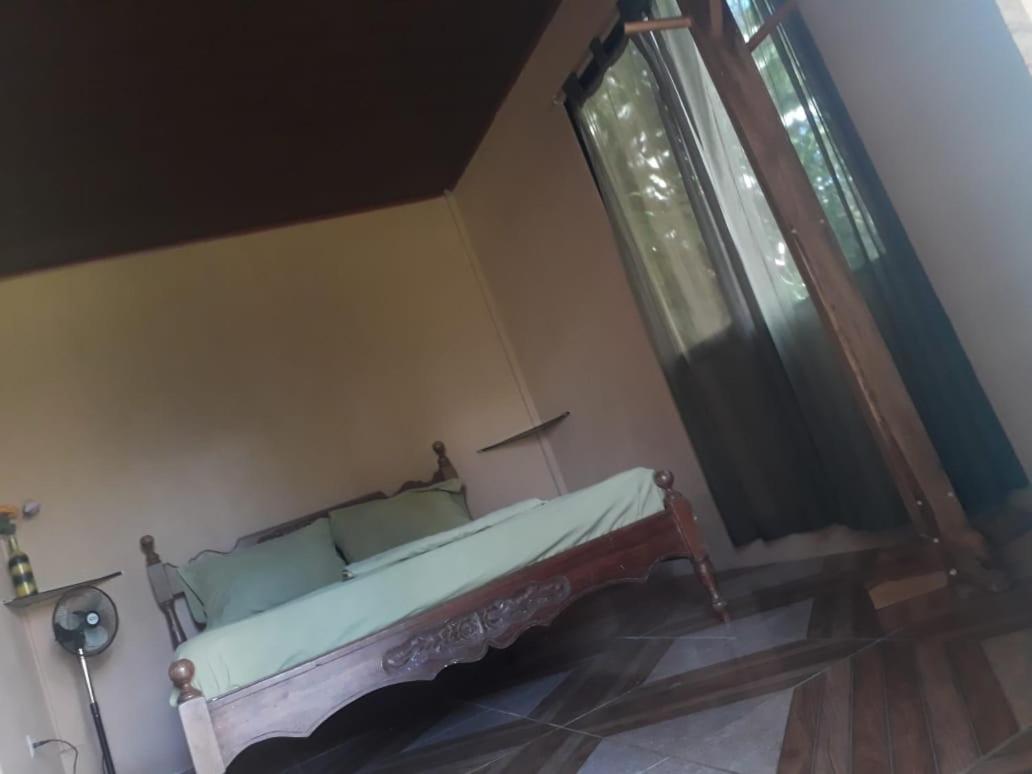 أوفيتا Casa Ballena Eco Hostel المظهر الخارجي الصورة